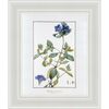 Obraz RUELLIA 57.6 x 67.6 cm