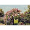 Fototapeta ROSE GARDEN 254 x 368 cm