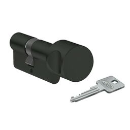 Wkładka do zamka E20 G30 x 30 Abus
