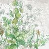 Serwetki MEADOW 33 x 33 cm 20 szt.