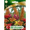 Szarłat MAGIC CASCADE nasiona tradycyjne 0.5 g W. LEGUTKO