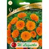 Nagietek lekarski ORANGE GEM nasiona tradycyjne 2 g W. LEGUTKO
