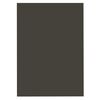 Front GRAY F50 DELINIA