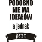 Samoprzylepne hasło welurowe PODOBNO NIE MA IDEAŁÓW 32 x 19 cm SPLENDID