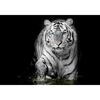 Kanwa ARTLIGHT TYGRYS 70 x 100 cm