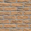 Kamień elewacyjny PENA Karmel 22 x 10 cm AKADEMIA KAMIENIA