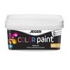 Farba dekoracyjna COLOR PAINT 1 l P0539 Lateksowa matowa JEGER