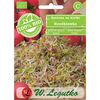 Rzodkiewka BIO nasiona ekologiczne 20 g W. LEGUTKO