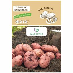 Ziemniak Ricarda nasiona 0,5kg W. Legutko