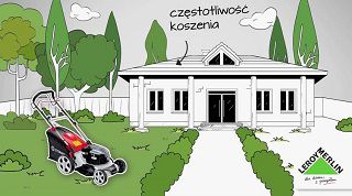 Przed założeniem trawnika