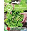Sałata głowiasta masłowa MAY KING BIO nasiona ekologiczne 0.5 g W. LEGUTKO