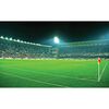 Fototapeta STADION 254 x 184 cm