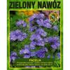 Facelia ZIELONY NAWÓZ 50 g