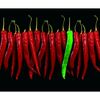 Panel kuchenny szklany CHILLI 2 Z 3 DUBIEL VITRUM