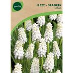 Szafirek VENUS 8szt. GEOLIA