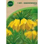 Szachownica cesarska LUTEA 1szt. GEOLIA