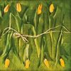 Serwetka FRESH TULIPS 33 x 33 cm 20 szt. PAW DECOR COLLECTION
