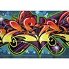 Fototapeta GRAFFITI 254 x 368 cm