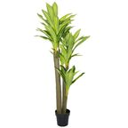 Dracena 150 cm x 35 cm HANMAR