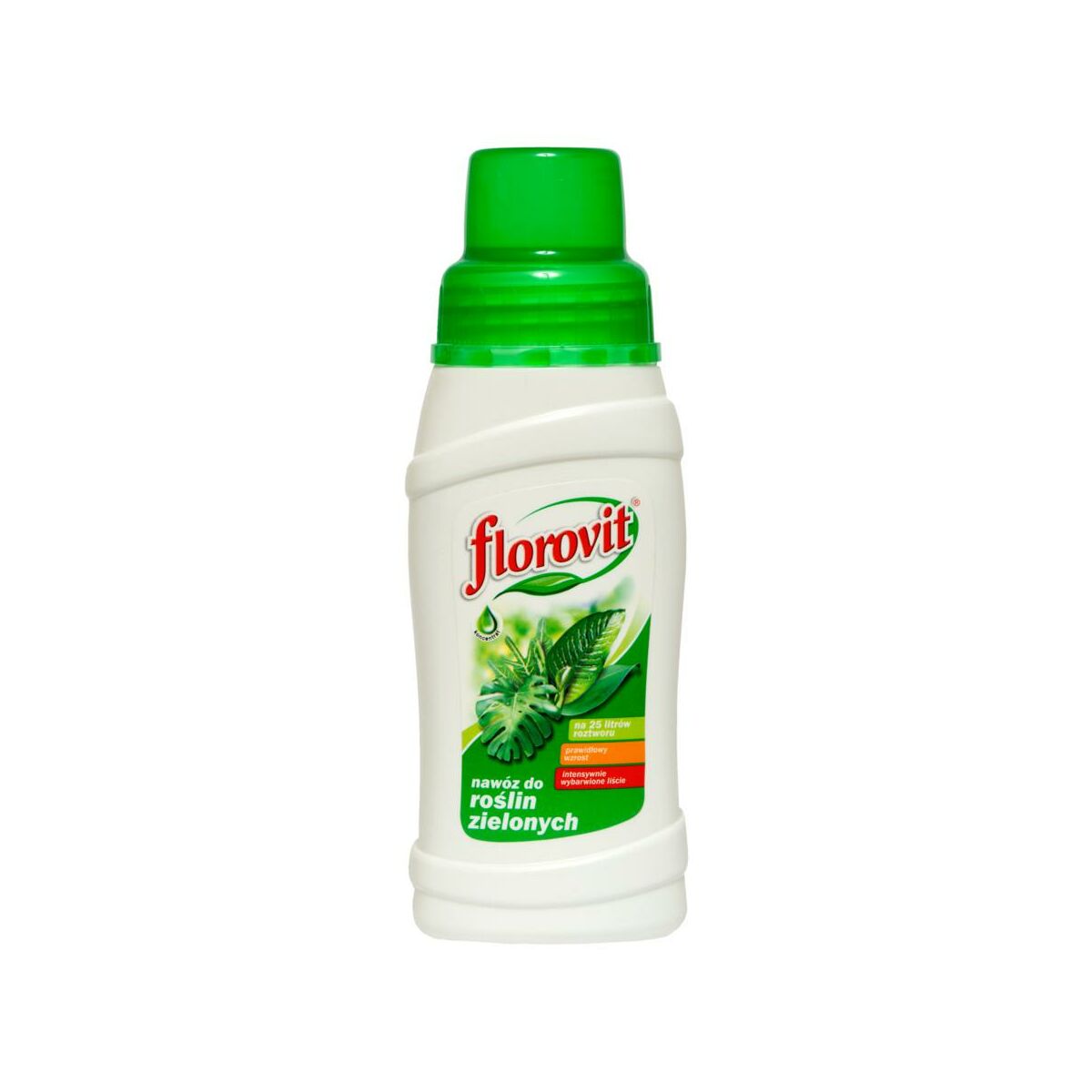 Nawóz do roślin zielonych 250ml Florovit