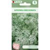 Nasiona kwiatów BIAŁA Gipsówka wiechowata W. LEGUTKO