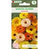 Nagietek lekarski MIESZANKA W. LEGUTKO