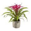 Bromelia w ozdobnej osłonce ceramicznej MIX 45 cm