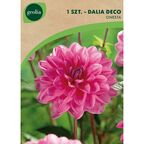 Dalia dekoracyjna WISTA 1szt. GEOLIA