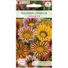 Gazania lśniąca MIESZANKA nasiona tradycyjne 0.2 g W. LEGUTKO