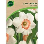 Narcyz PINK CHARM 4szt. GEOLIA