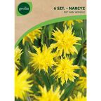 Narcyz botaniczny RIP VAN WINKLE 6szt. GEOLIA