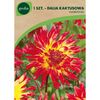 Dalia kaktusowa VUURVOGEL 1 szt. GEOLIA