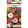 Cynia wytworna Liliput MIESZANKA W. LEGUTKO