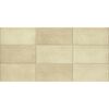 Glazura TOURS IVORY 25 X 50 STN CERAMICA