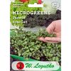 Jarmuż SCARLET microgreens W. LEGUTKO