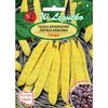 Fasola zwykła karłowa TYTANIA nasiona zaprawiane 30 g W. LEGUTKO