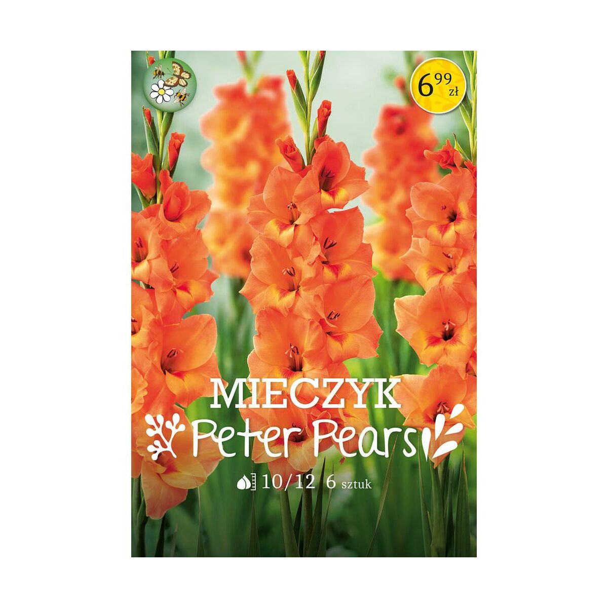 Mieczyk Peter Pears 6szt. cebulki kwiatów