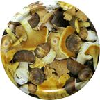 Zakrętki do słoików Z1082/6GRZ śr. 8,2 cm BIOWIN
