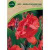 Paciorecznik PINK PRESIDENT 1 szt. GEOLIA