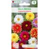 Dalia zmienna karłowa półpełna UNWINS nasiona tradycyjne 0.5 g W. LEGUTKO
