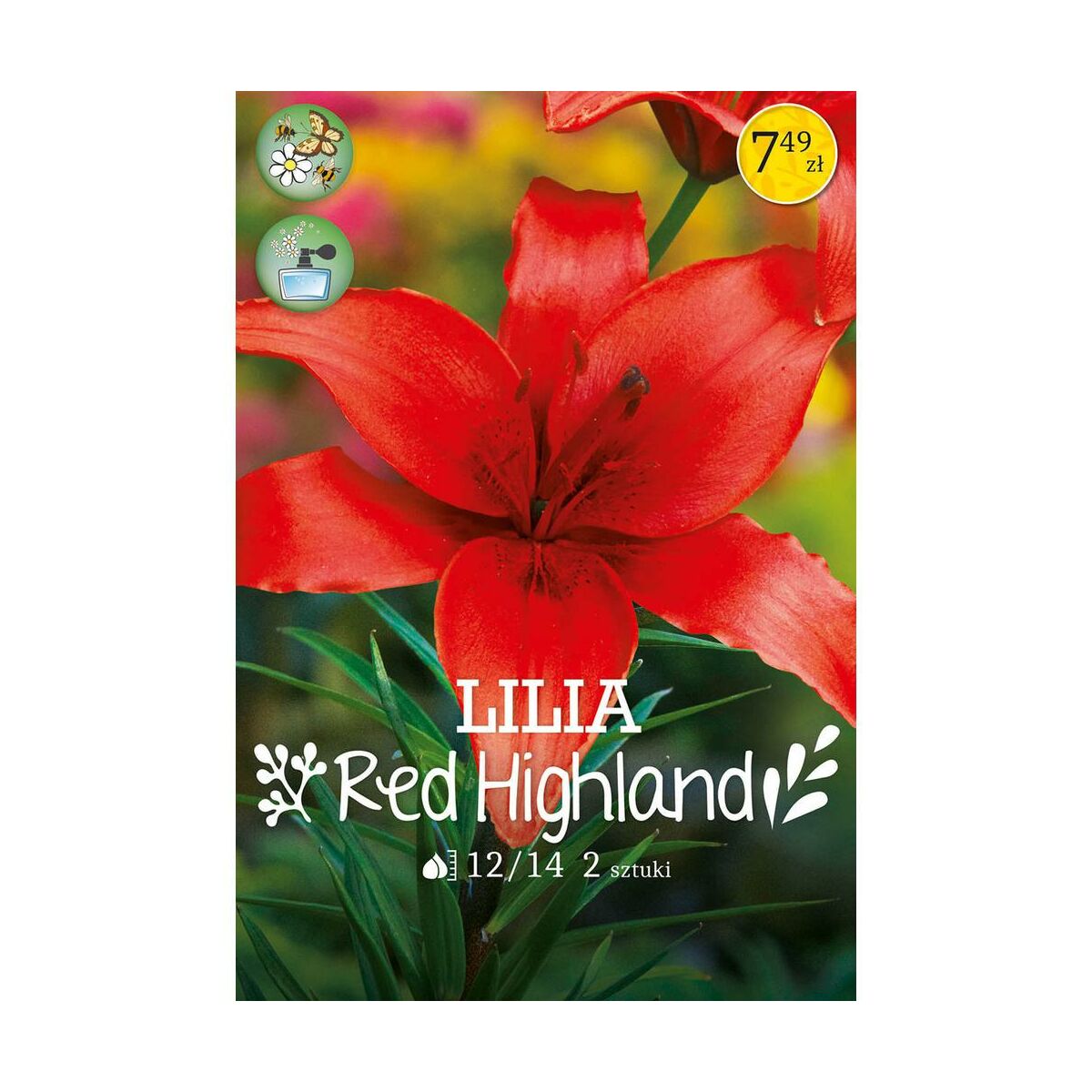 Lilia Red Highland 2szt. cebulki kwiatów