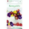 Bratek wielkokwiatowy MIESZANKA W. LEGUTKO