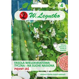 Fasola tyczna wielokwiatowa Piękny Jaś nasiona 38g W. Legutko
