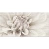 Dekor TRENDY WOOD 29.7 X 59.8 OPOCZNO