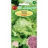 Sałata głowiasta krucha SAMBA nasiona zaprawiane 1 g W. LEGUTKO