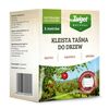 Kleista taśma do drzew na szkodniki 1 szt. / 5 m TARGET NATURAL