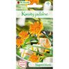 Nagietek lekarski POMARAŃCZOWY W. LEGUTKO