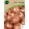 Cebulki warzyw RED SUN Szalotka 12szt. GEOLIA