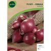 Cebula KARMEN 75 szt. GEOLIA