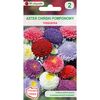 Nasiona kwiatów MIESZANKA Aster chiński pomponowy W. LEGUTKO